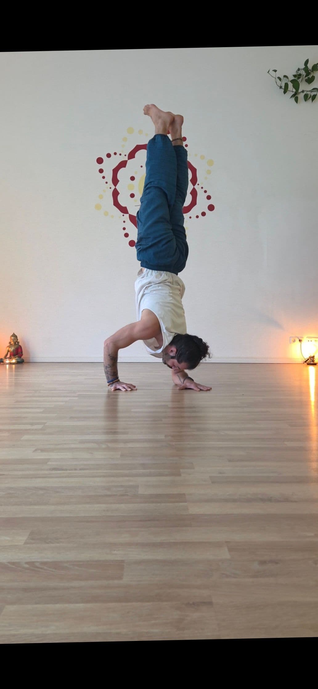 Handstand & Inversionen