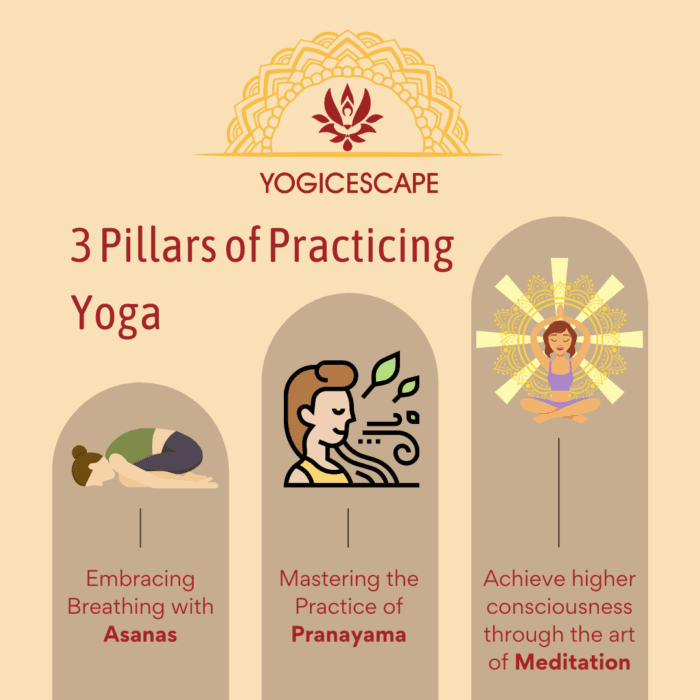 3 Pillars of Practicing Yoga: Pranayama, Meditation, and Asanas Explained