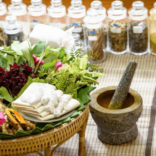 Nourishing the Soul: The Ayurvedic Perspective on Food as Medicine